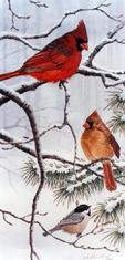 Cardinals and Chickadee on snowy branches