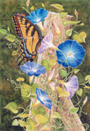 Floral and Butterfly by Martin Ryan