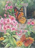 Floral and Butterfly by Martin Ryan