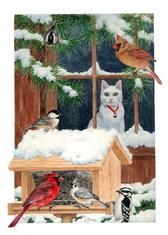 Cardinal, nuthatch, chickadee, birds, bird feeder, snow, cat