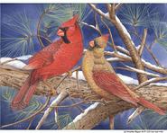 Cardinals