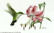 Hummingbird