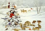 Winter Animals