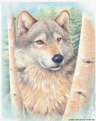 wolf, female, trees