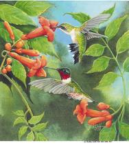 Hummingbirds