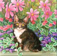 Kitten, flowers