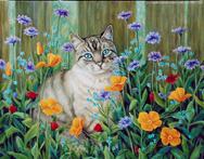 cat, flowers