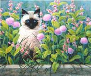 cat, flowers