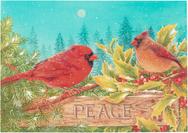 cardinals, holly, evergreen, peace