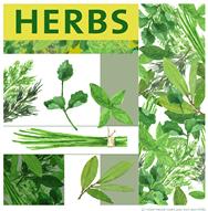 herbs