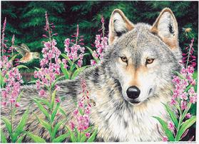 wolf, flowers, hummingbird