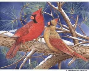 Cardinals, snowy branch, evergreen, night sky