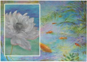 waterlily and goldfish pond koi